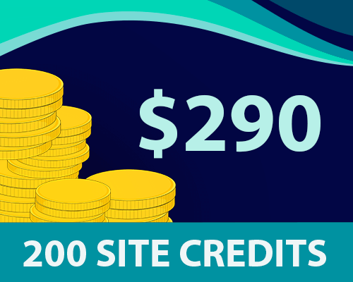 200 Site Credits for $290